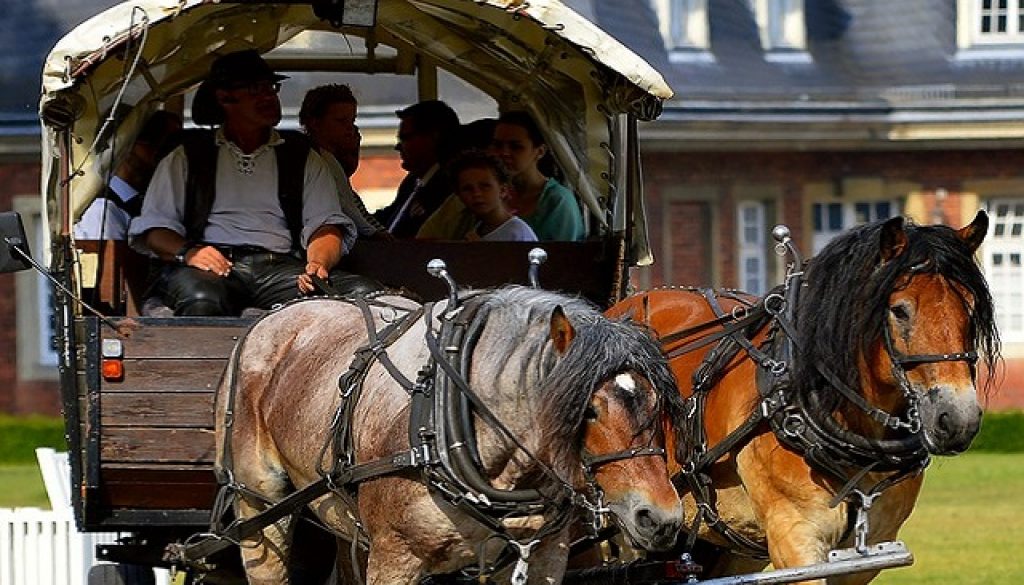 Binomials: word pairs, such as horse and carriage